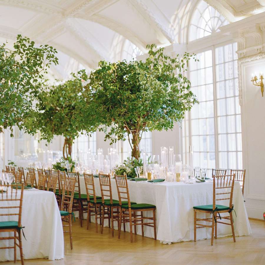 large green tree centerpieces and votive candles in an all white venue with floor to ceiling windows