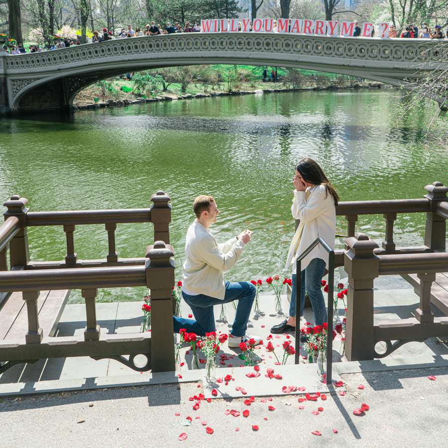 man proposing to woman in central park