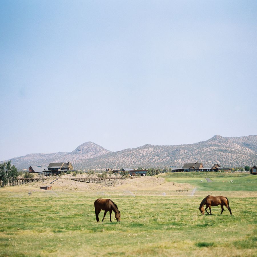 A honeymoon at Brasada Ranch in Oregon. 