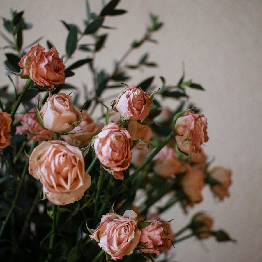A bouquet of small, pink preserved roses with greenery. 