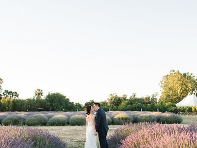 Bride and groom kissing at sunset in a lavender field with a wedding reception tent in the distance.